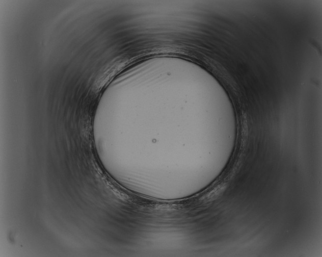 X0000103240985200809251323