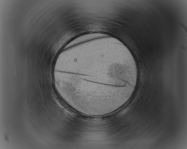 X0000103240986200809251323