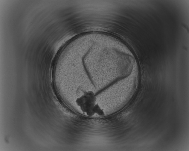 X0000103240987200809251323