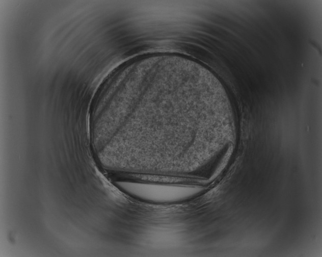 X0000103240988200809251323