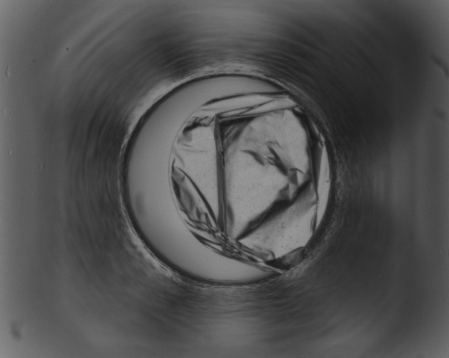 X0000103240989200809251323