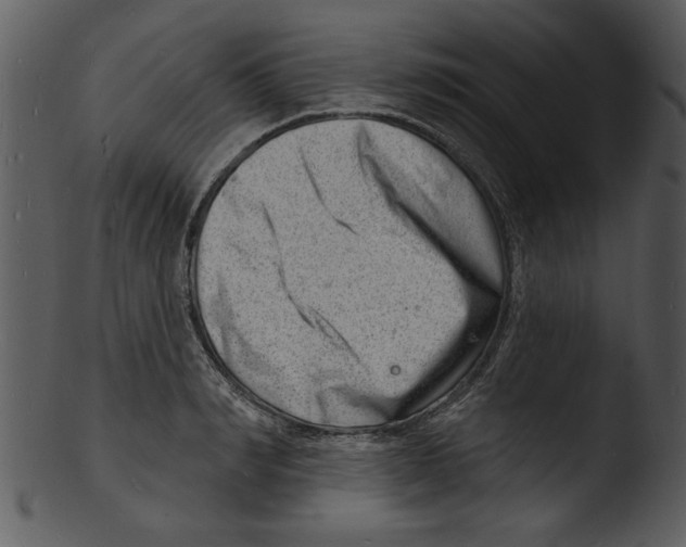 X0000103240990200809251323