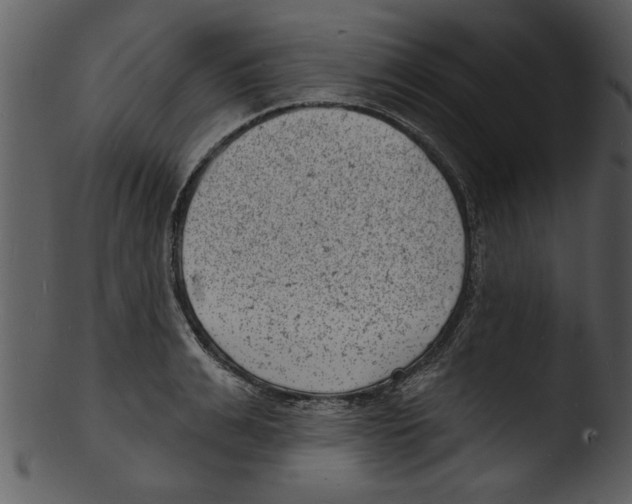 X0000103240991200809251323