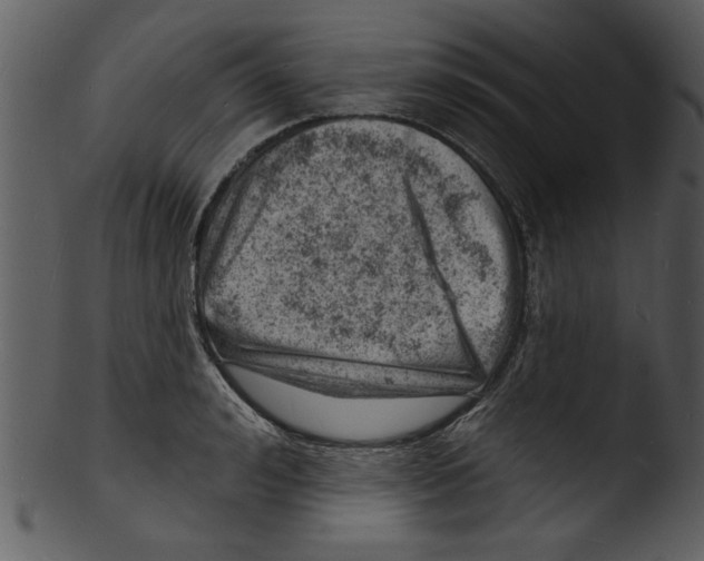 X0000103240992200809251323