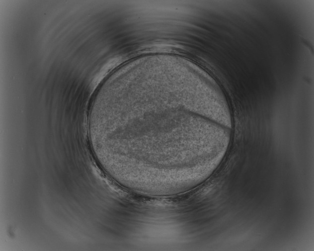 X0000103240994200809251323