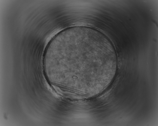 X0000103240995200809251323