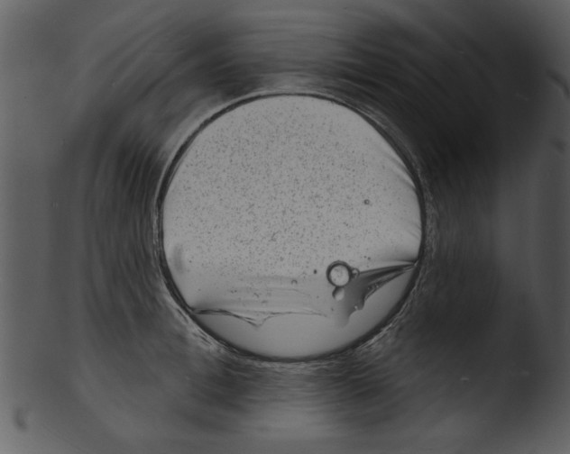 X0000103240996200809251323