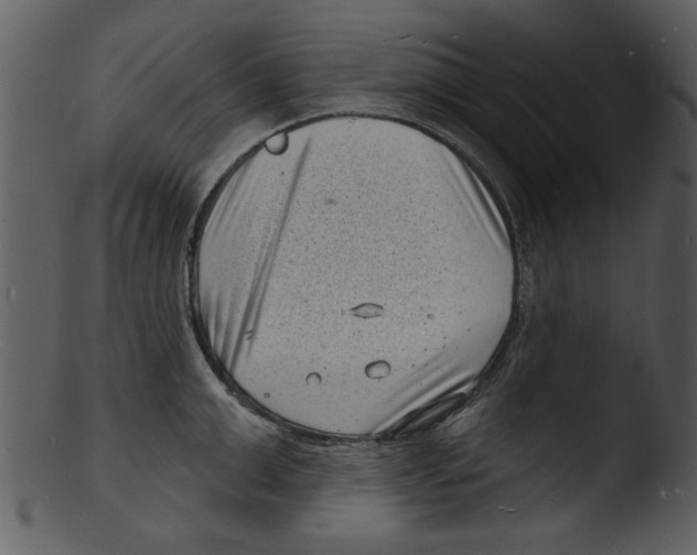 X0000103240999200809251323