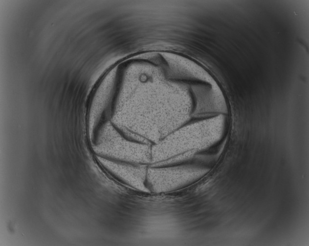 X0000103241000200809251323