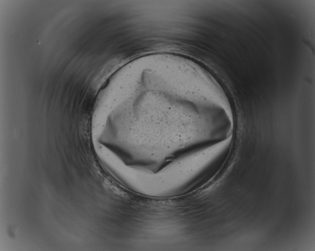 X0000103241001200809251323