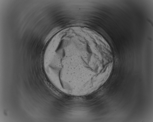 X0000103241002200809251323