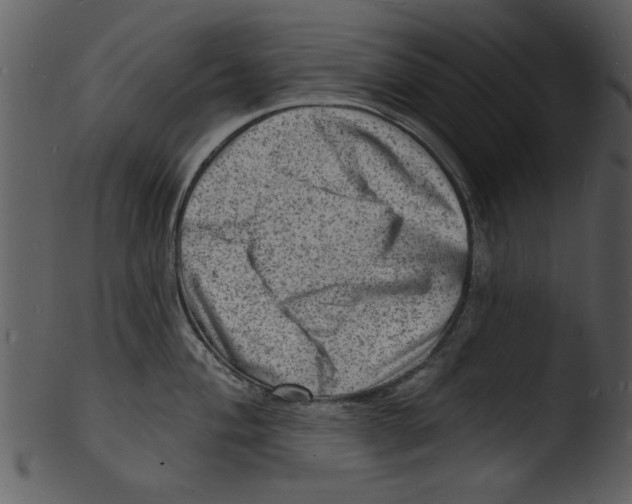 X0000103241004200809251323