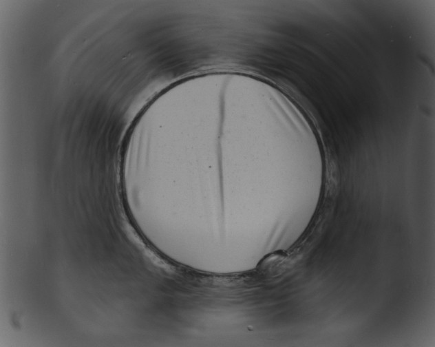 X0000103241005200809251323