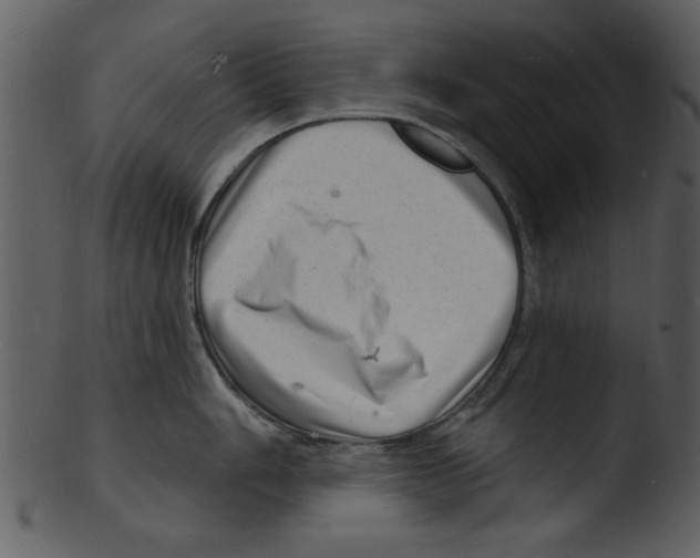 X0000103241006200809251323