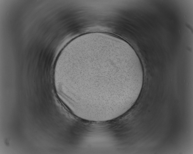 X0000103241008200809251323