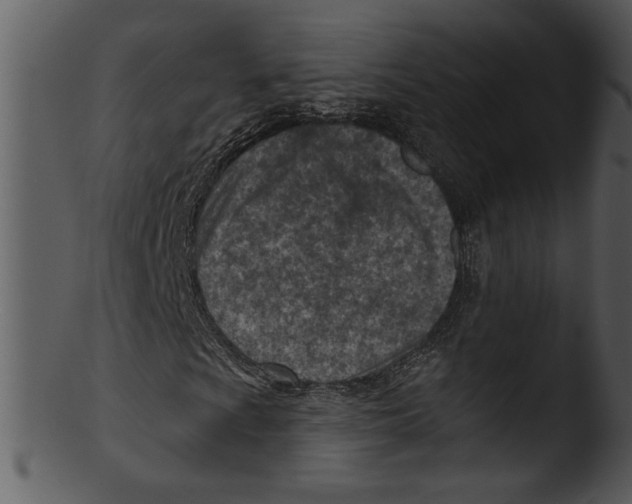 X0000103241009200809251322