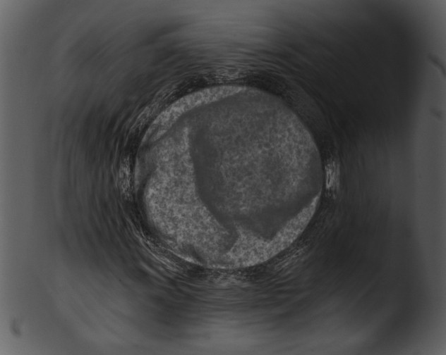 X0000103241011200809251322