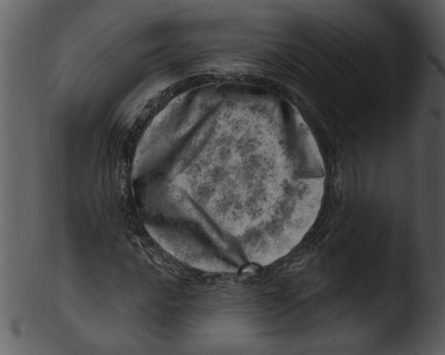 X0000103241016200809251322