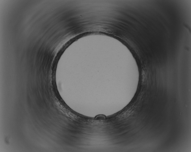 X0000103241020200809251322