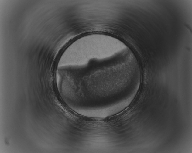 X0000103241024200809251323