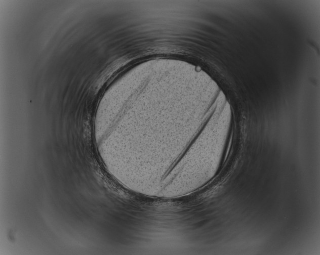 X0000103241025200809251323