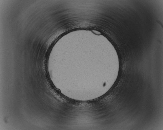 X0000103241026200809251323