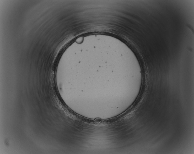 X0000103241029200809251323