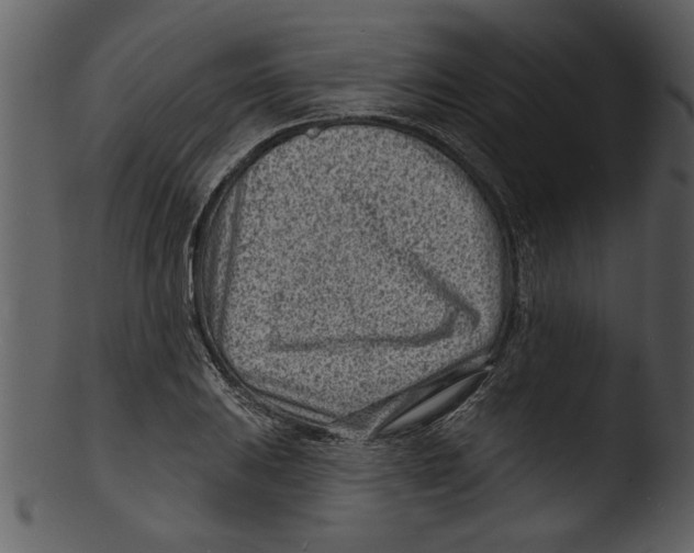 X0000103241031200809251323