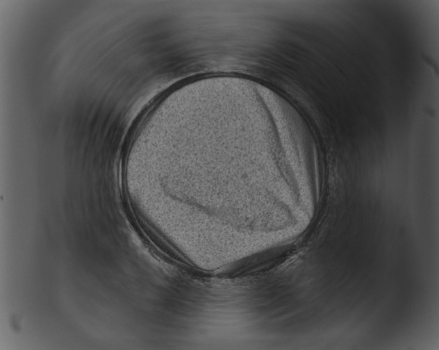 X0000103241032200809251323