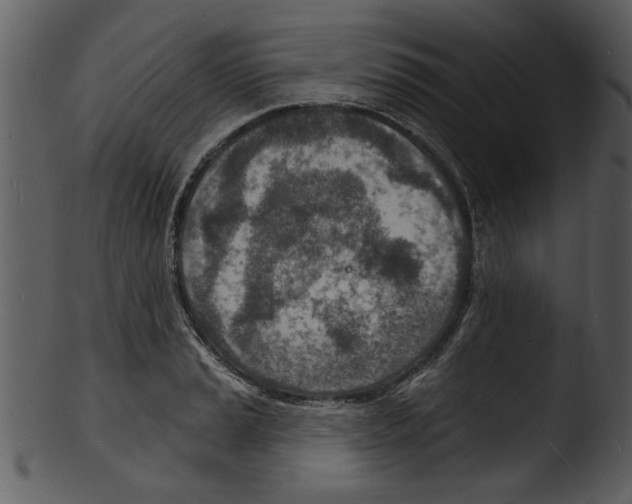 X0000103241037200809251323