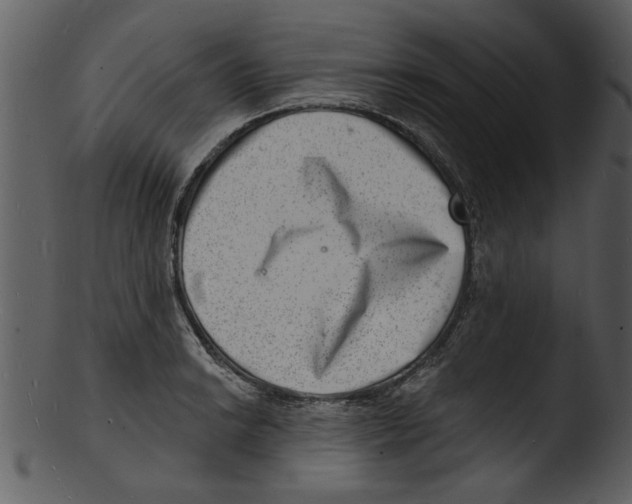 X0000103241038200809251323