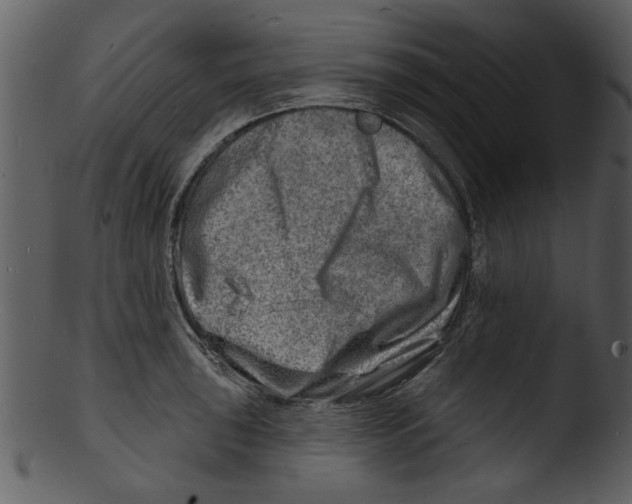 X0000103241043200809251323