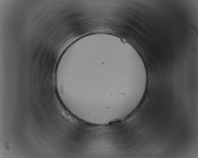 X0000103241044200809251323