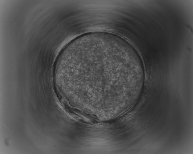 X0000103241045200809251323