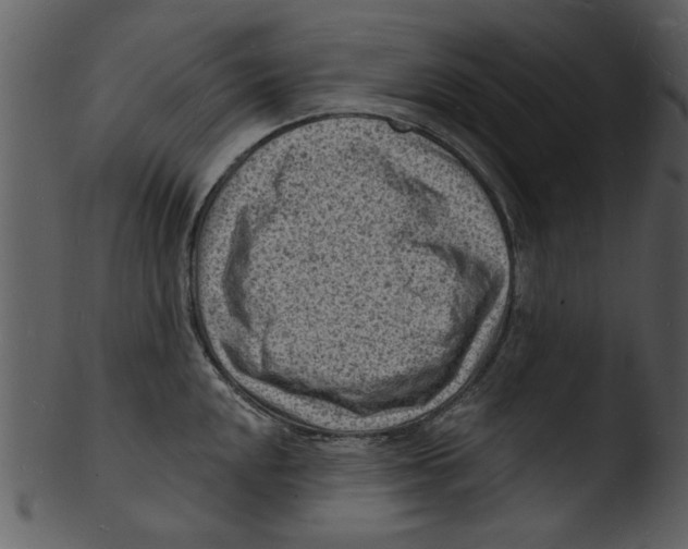 X0000103241048200809251323