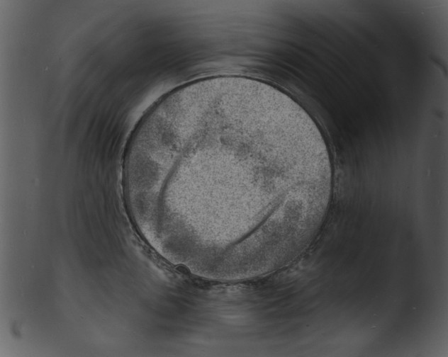 X0000103241051200809251323