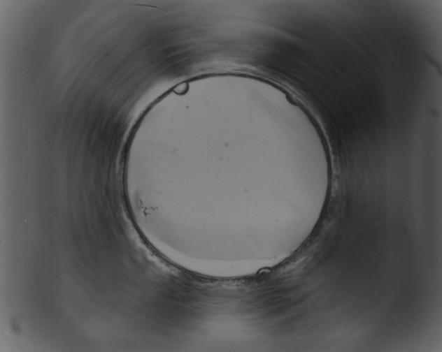 X0000103241053200809251323