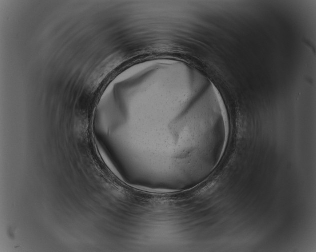 X0000103241065200809251322