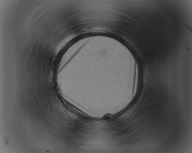 X0000103241066200809251322