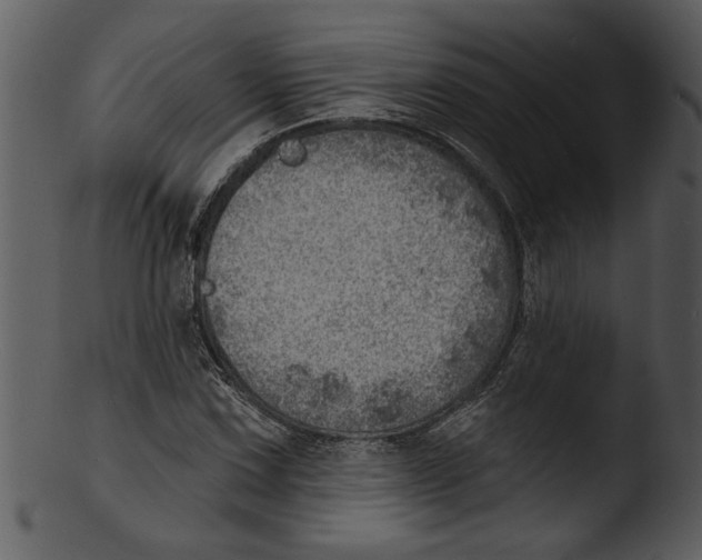 X0000103241067200809251322