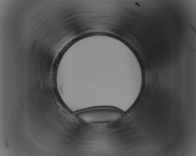 X0000103241068200809251322