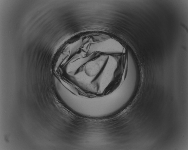 X0000103241069200809251322