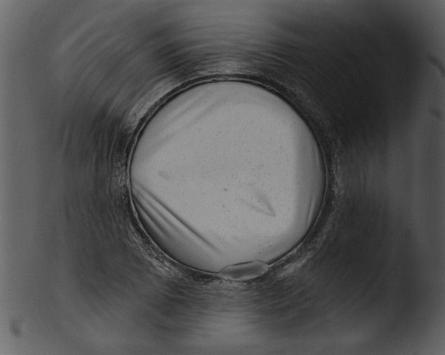 X0000103241073200809251322