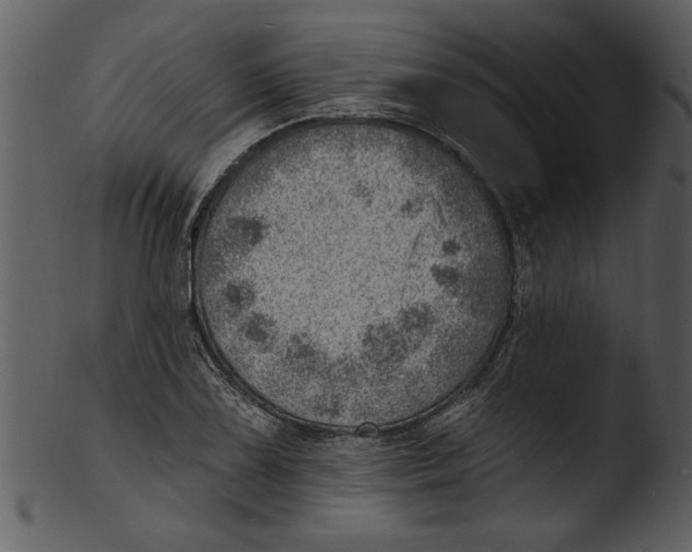 X0000103241075200809251322