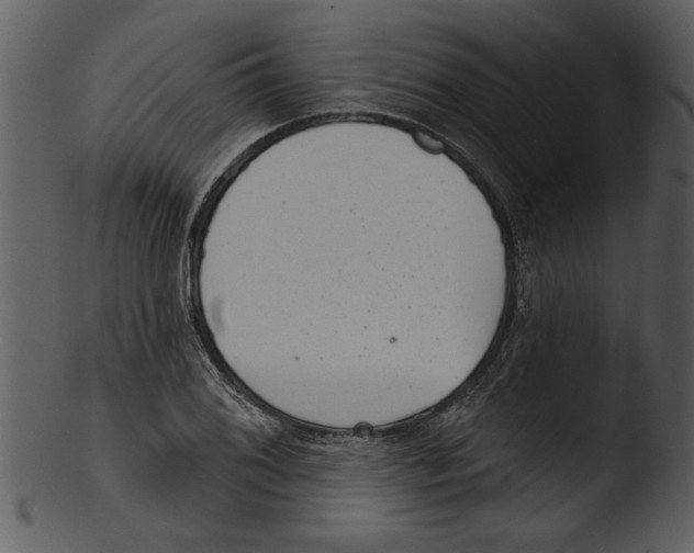 X0000103241076200809251322