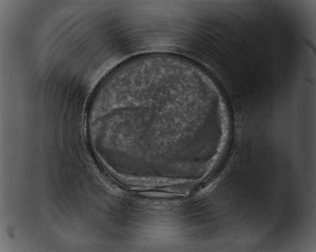 X0000103241077200809251322