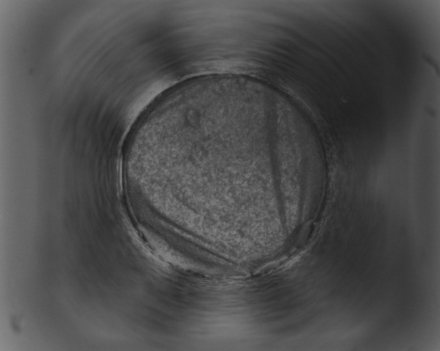 X0000103241079200809251322