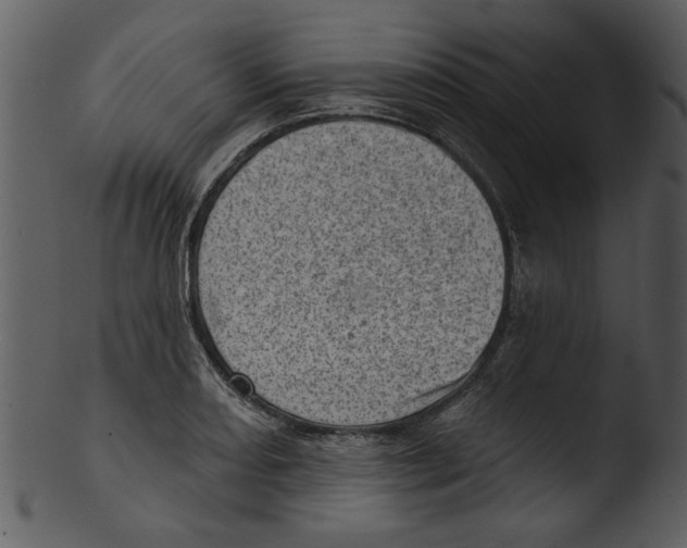 X0000103241082200809251322