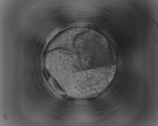 X0000103241083200809251322