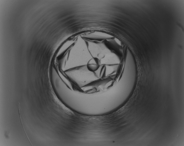 X0000103241084200809251322